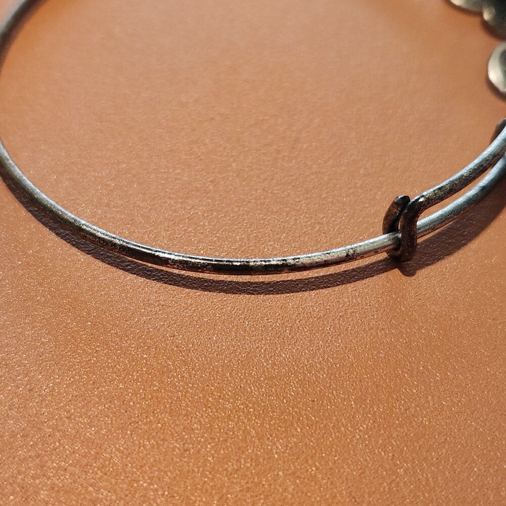 Alex & Ani Walt Disney World Cinderella Castle Bangle Bracelet Silver - Picture 6 of 7